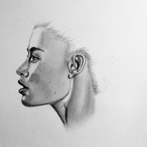 Profile Drawing