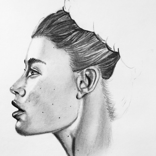 Profile Drawing