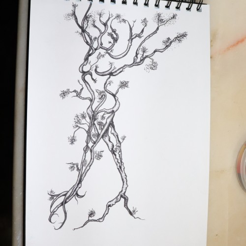 Tree Dancer