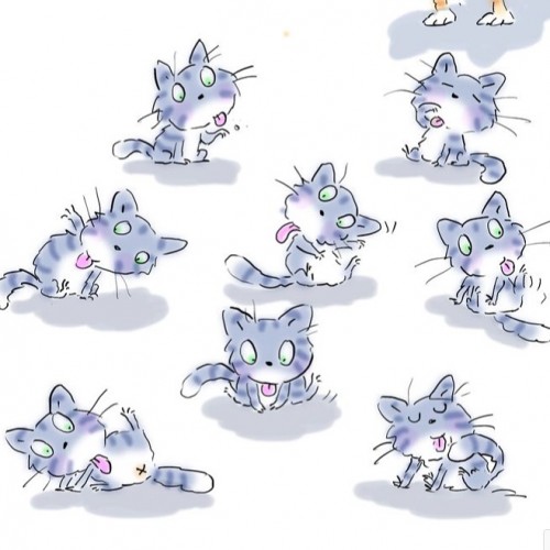 Cats