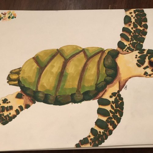 Turtle