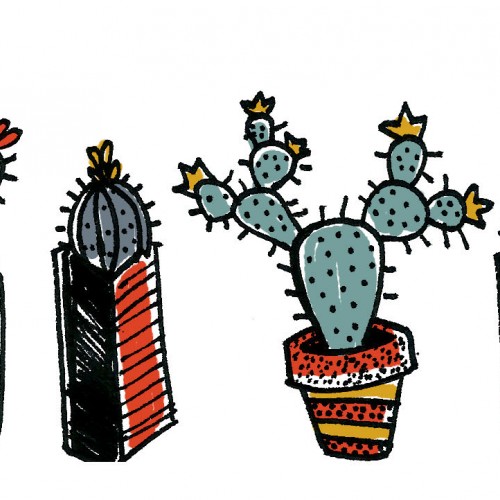 Cacti Banner