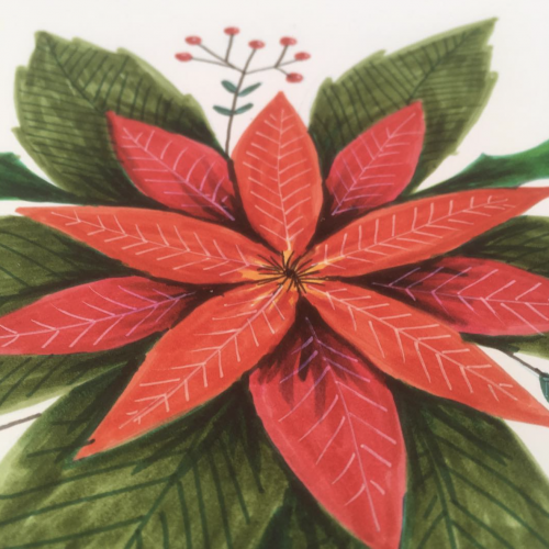 Poinsettia