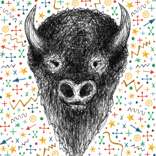 bison portrait