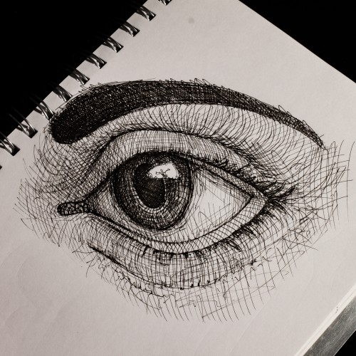 Eye Sketch