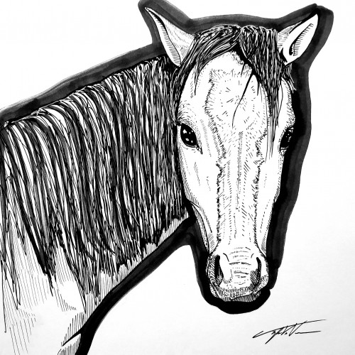 Horse