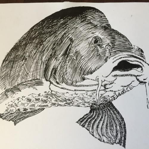 fish