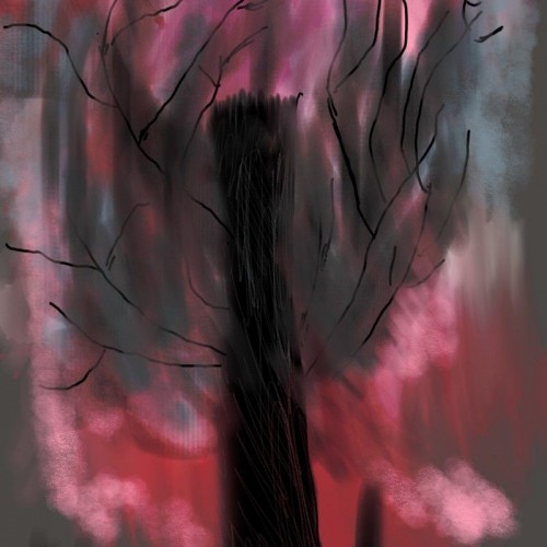 Dark Forest