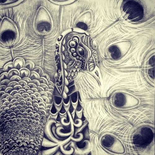 Graphite Peacock Sketchbook Page