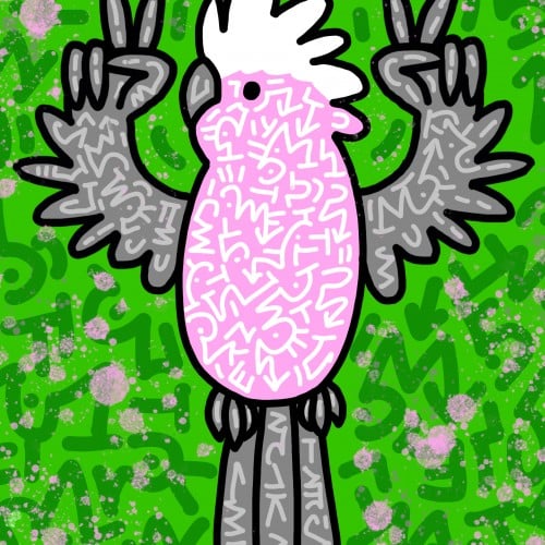 Galah by kid tiki