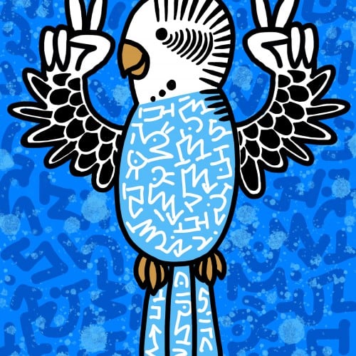 Harry the blue Budgerigar