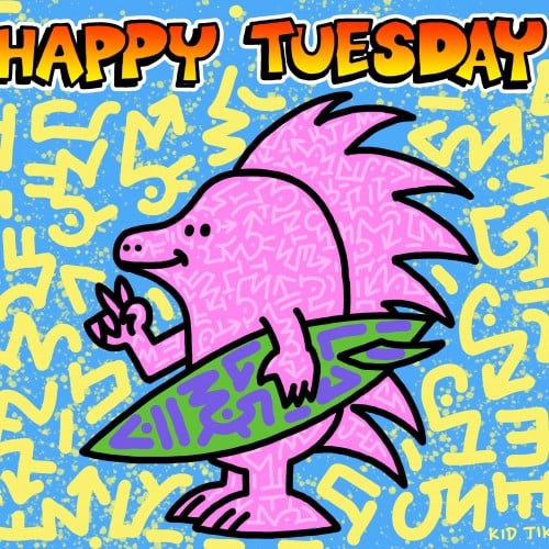 Happy Tuesday from Pamela the Echidna