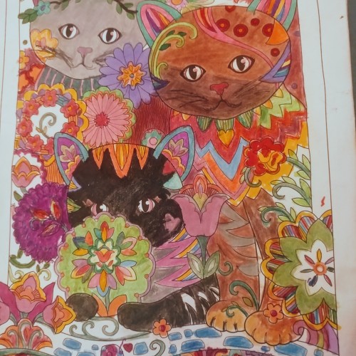 Cats In The Garden