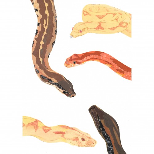 Snake digital print
