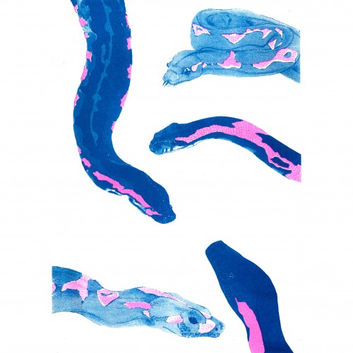 Snake risograph print