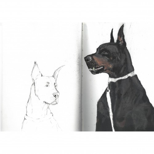 Doberman in Sketchbook