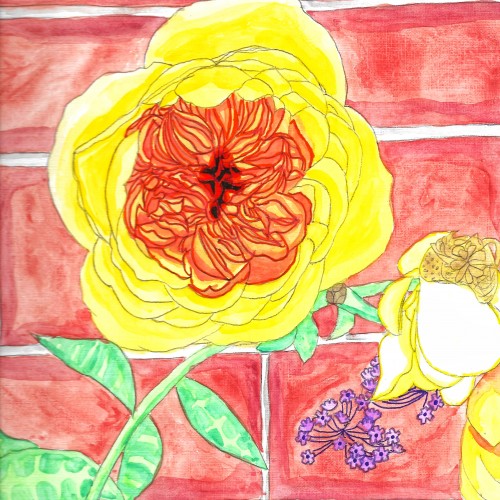 Reid Hall Rose Watercolor