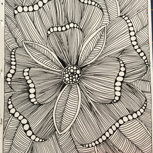 Petals and Lines