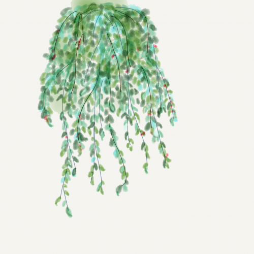 Hanging plant