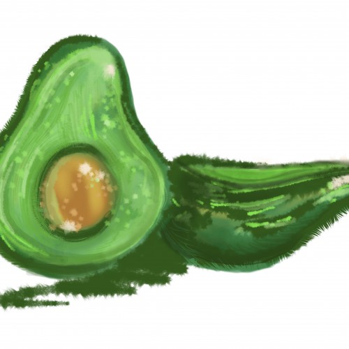 Avocado