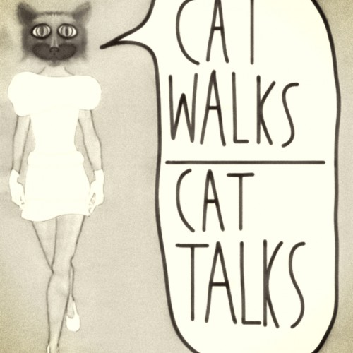 Catwalks, Cat Talks