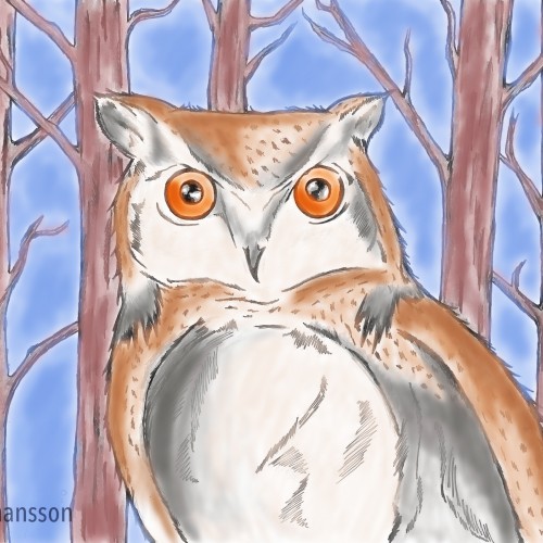 Owl