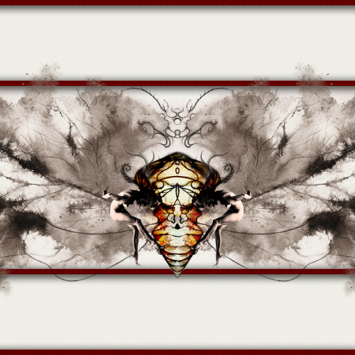 Cicadafaeries