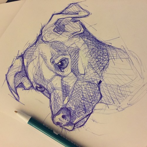 Pen 20 Minute Doodle [Dog]