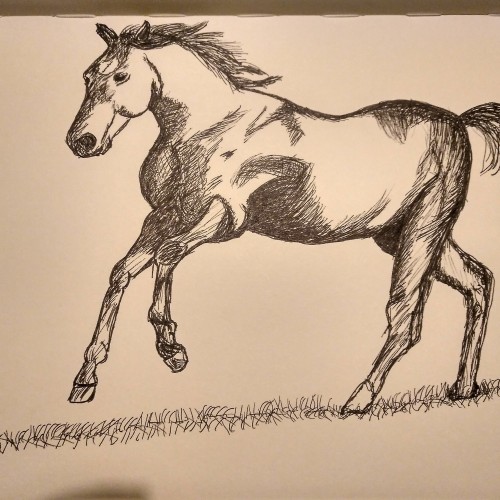 Horse