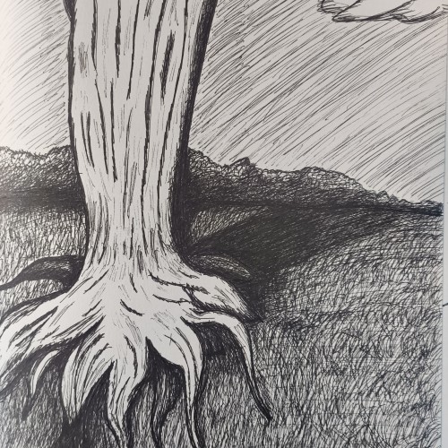 Roots