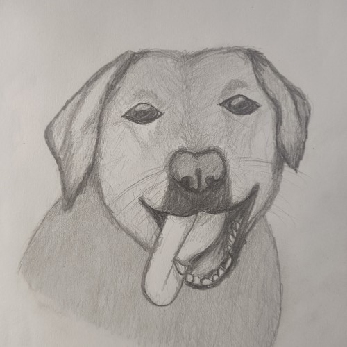 Happy dog