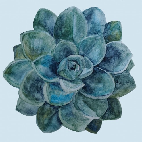 Blue Succulent