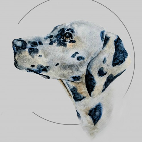 Dalmatian