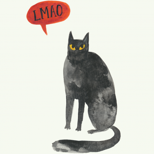 Cat says Lmao.