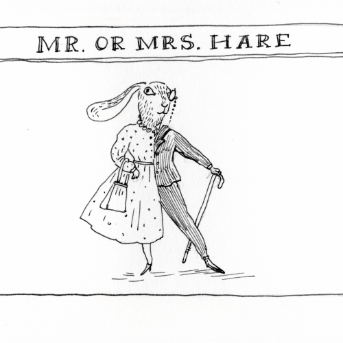 Mr or Mrs Hare