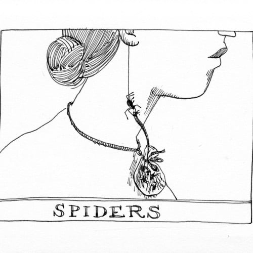 Spider superstition