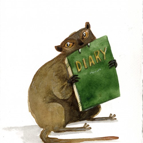 Marmoset monkeys love books