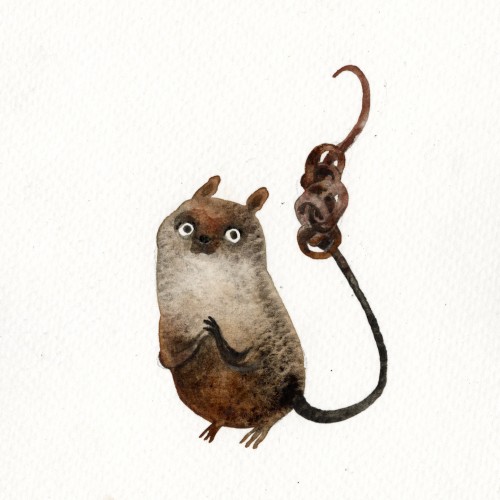 A knot.