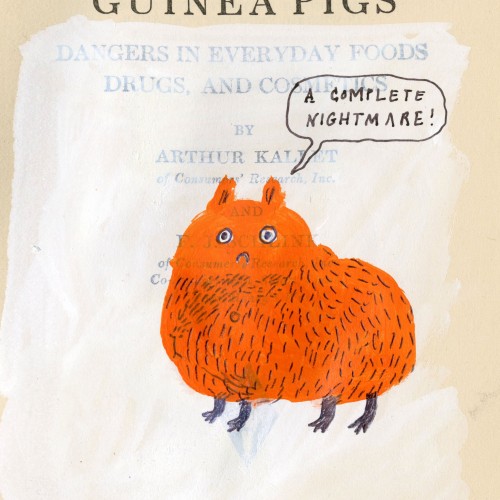 100,000,000 Guinea Pigs