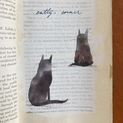 Catty corner