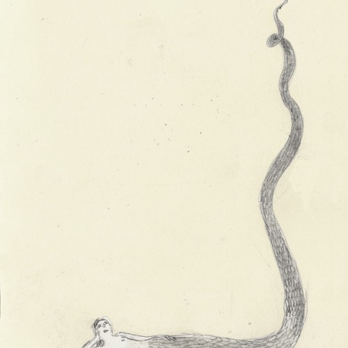 Snake chimera
