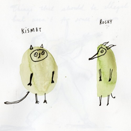 Kismet and Rocky