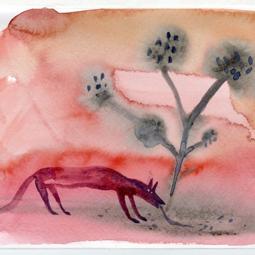 red landscape.