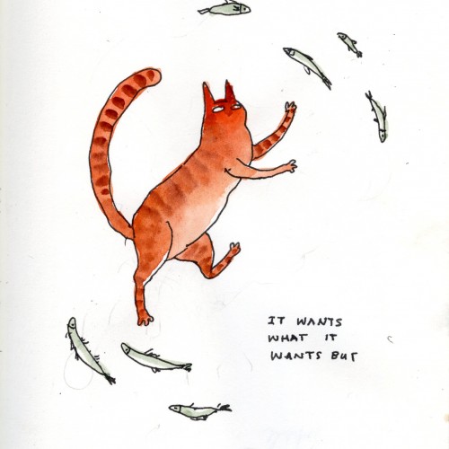 it wants what it wants