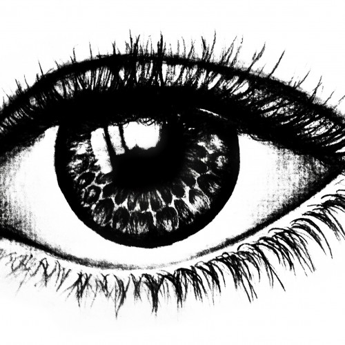 Eyeball study