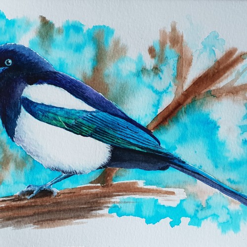 Magpie