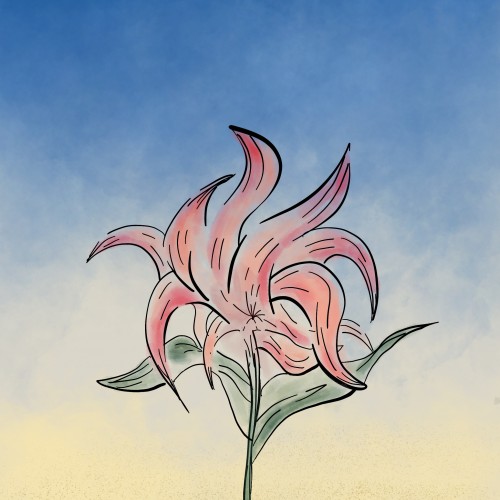 Beach Flower