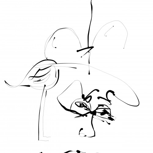 The Bird and the Cowboy