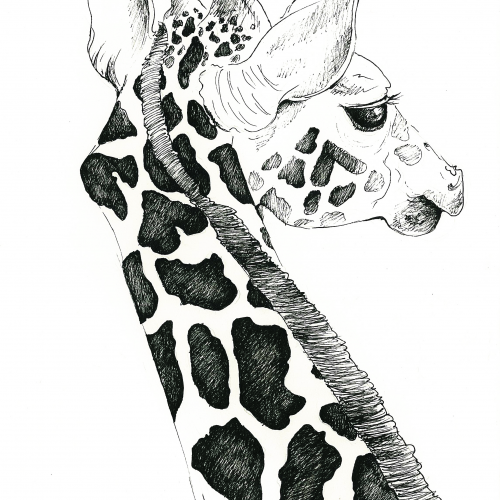 Henry, the giraffe