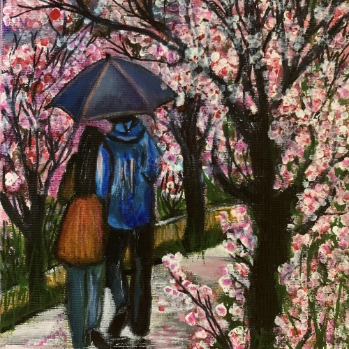 Walk among the blooming cherry trees